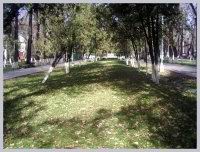 большая картинка весит 168кб